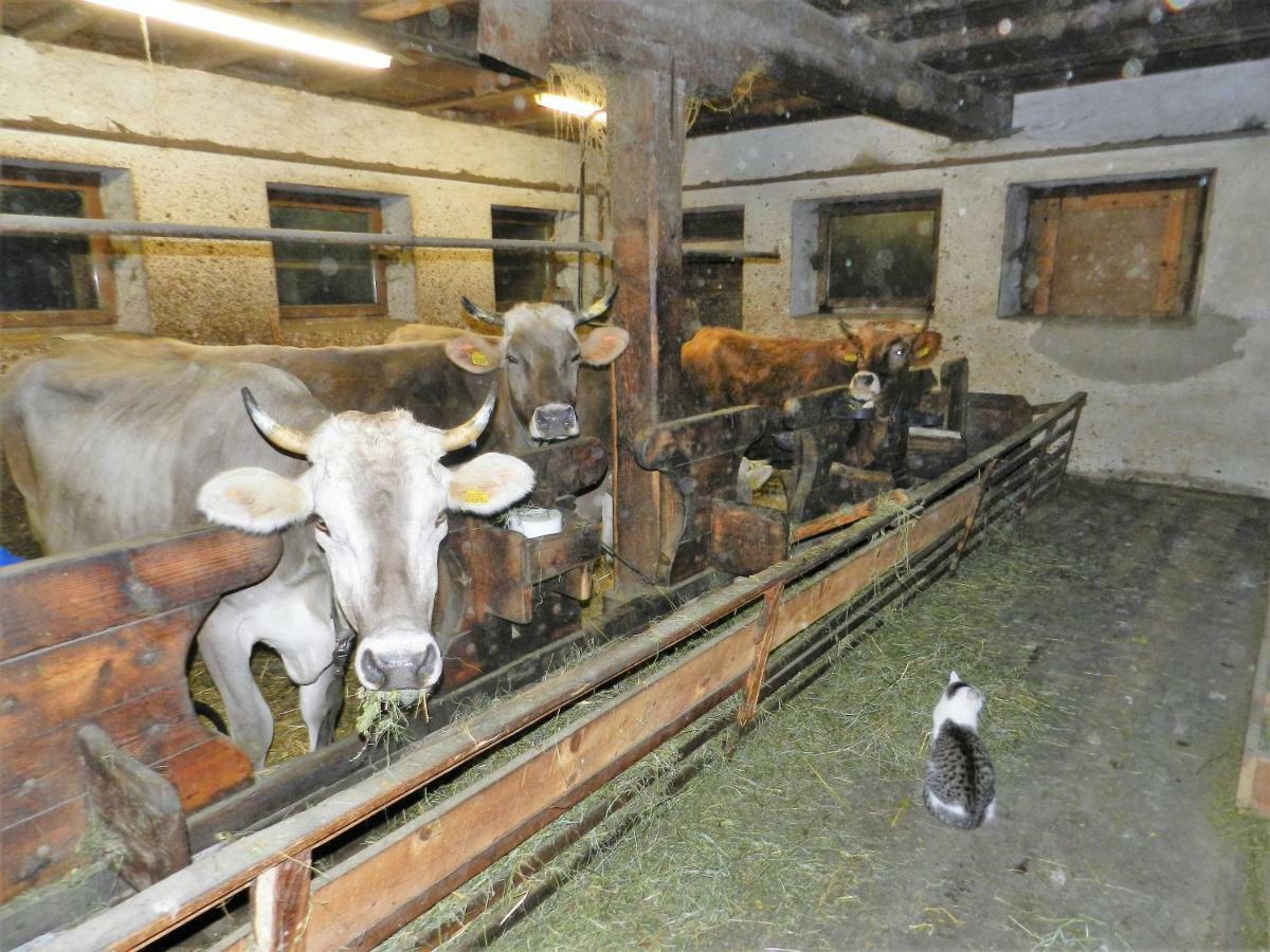 Ferienwohnung Gedrarzerhof Lüsen Exterior foto
